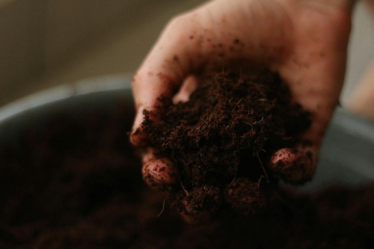 A handful of dark soil