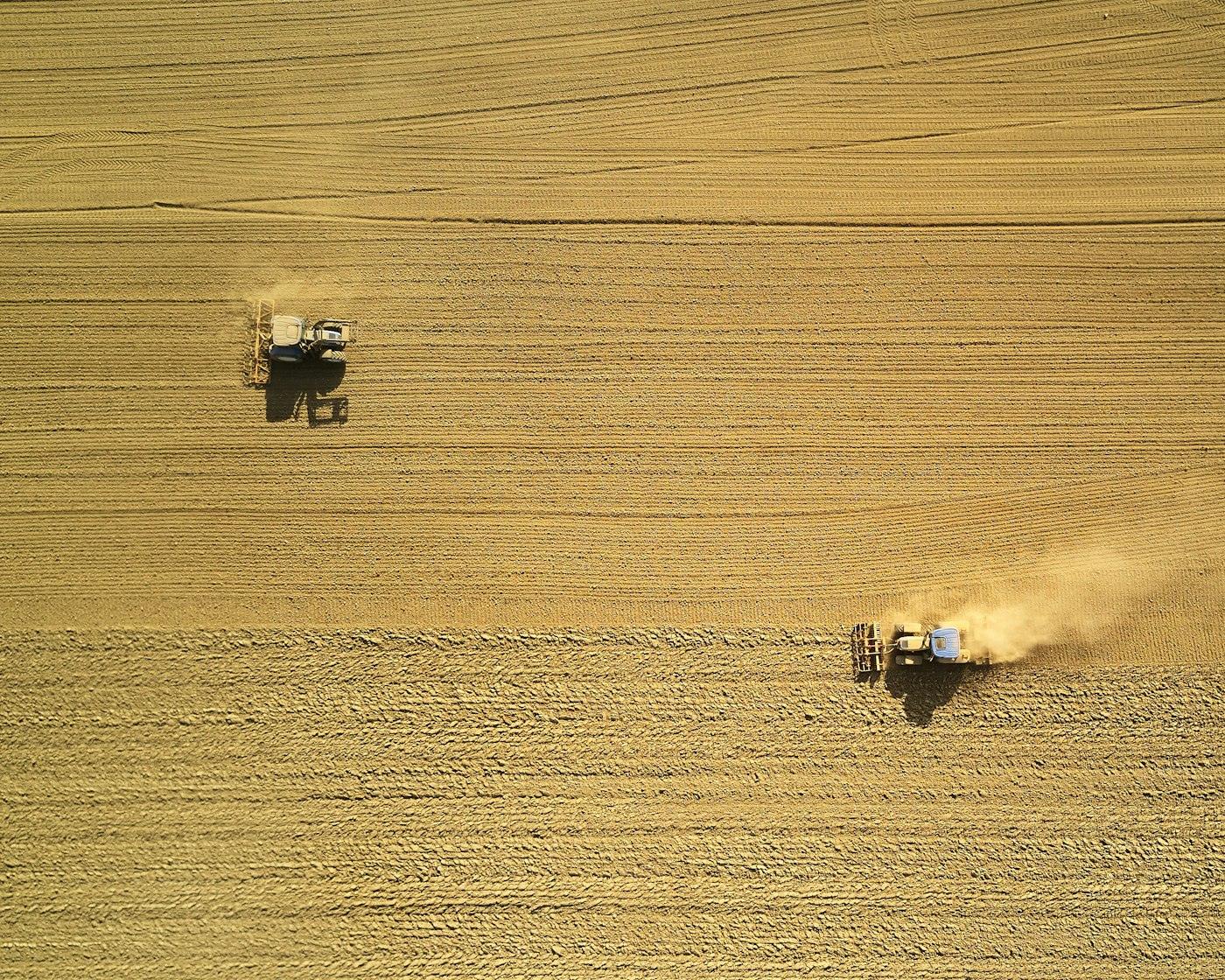 Two harvesters working a crop field, seen from above